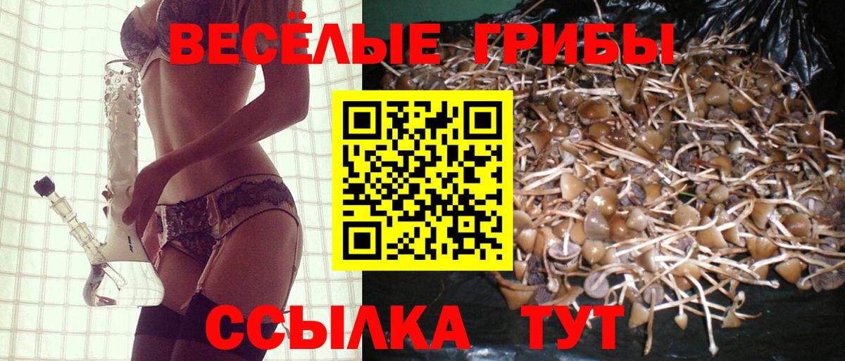Псилоцибиновые грибы GOLDEN TEACHER Магадан