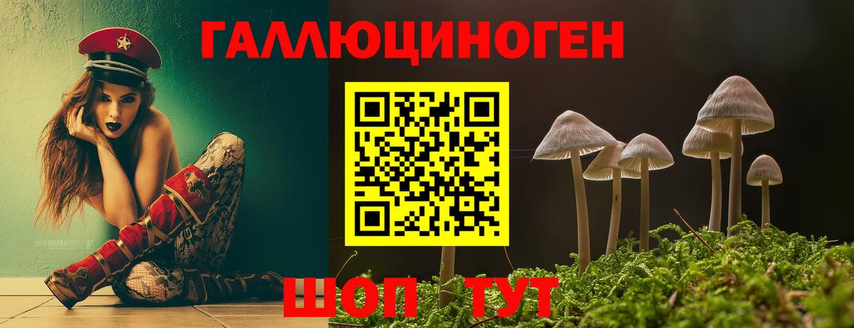 Псилоцибиновые грибы GOLDEN TEACHER  Вход с VPN  Магадан 